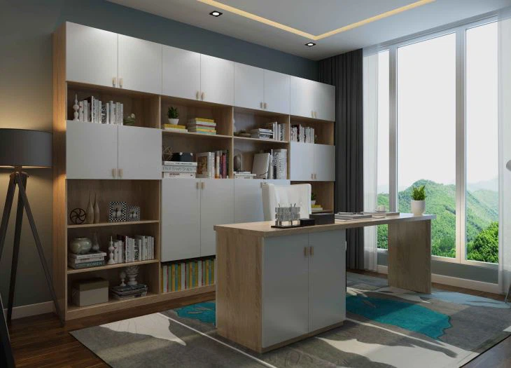 Modern Customized Bookcase
