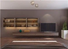 럭셔리 현대 TV 캐비닛